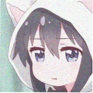 观众头像 玫瑰